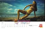 Cloud Nine bikini calendar pictures (12).jpg